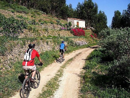 Casa Pescador Apartman Carvoeiro  Kültér fotó